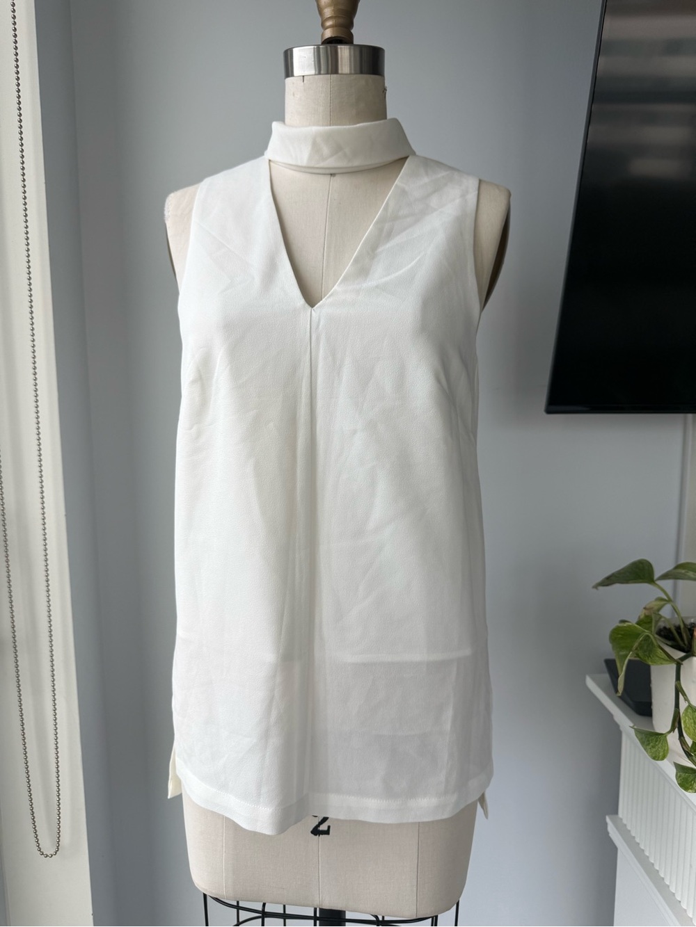 Paria Shirvani Sleeveless V-Neck Blouse